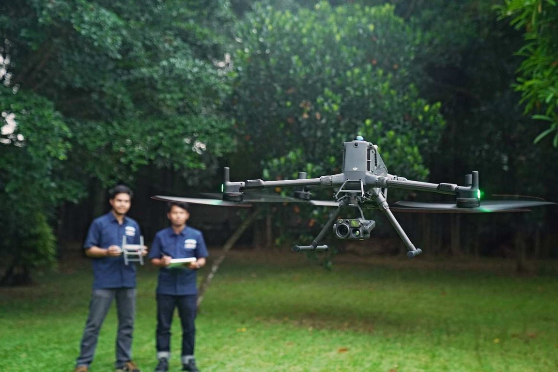 codeimg-245